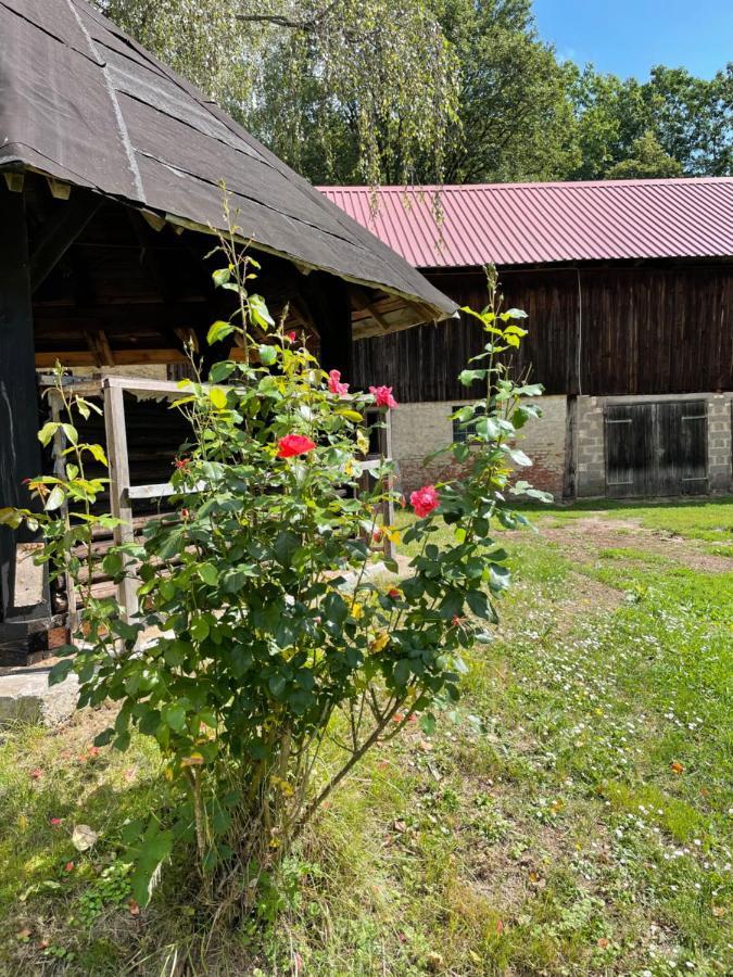 Schellnhof Forsthaus Am Waldrand Apartment Nidda Exterior photo